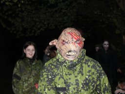 img_0431_web